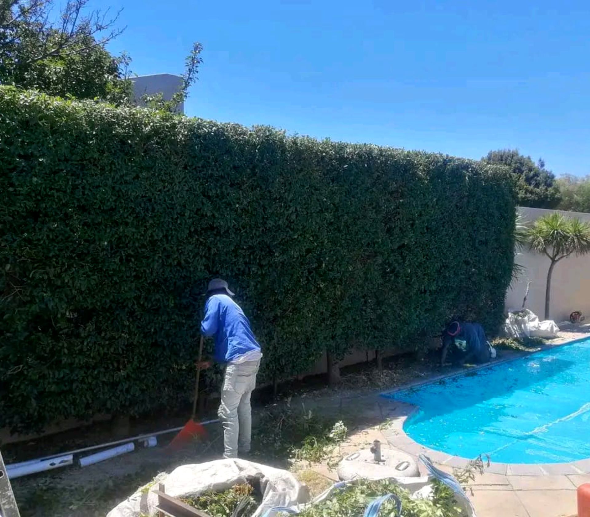 Hedge Trimming